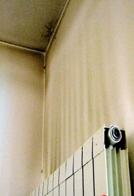 暖氣片把牆角熏黑了